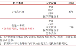 2025合肥醫藥衛生學校3+2招生專業全解析｜報考指南+面試要求，助你精準規劃醫學之路
