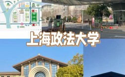 上海政法大學是211還是985學校