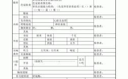 教資體檢表怎么下載