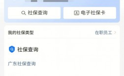 有社保記錄是應屆畢業生嗎
