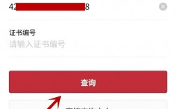 怎么查自己有哪些證書(國家職業(yè)技能等級證書查詢網(wǎng))