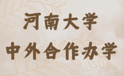 河南大學中外合作辦學怎么樣