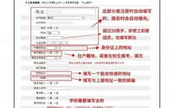 畢業生教資報名只能報戶籍所在地嗎