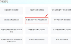 內初班考試成績怎么查
