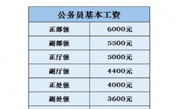 中國公務員職位分類中體現(xiàn)工資待遇的是