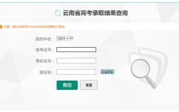 高考志愿錄取結果查詢入口(高考網上志愿填報入口)