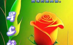 早上好怎么說