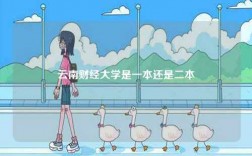 云南財經大學是一本還是二本