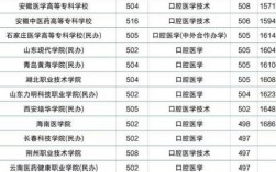 口腔醫學二本院校