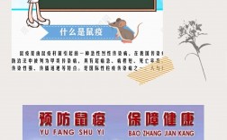 預(yù)防醫(yī)學(xué)是干什么的(預(yù)防醫(yī)學(xué)專業(yè)就業(yè)方向)