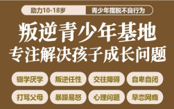  可以拯救青春期孩子網癮大/脾氣大/不愿意去學校的特訓營推薦