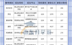公辦專科需要多少分