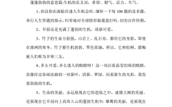 蓬蓬勃勃的意思