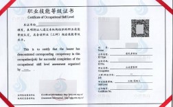 一般人怎么考營養師證(國家取消了嗎)