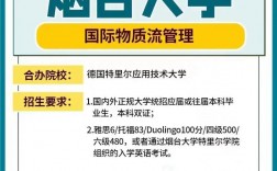 煙臺大學(xué)研究生怎么樣(一般二本建議考研學(xué)校)