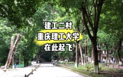 重慶理工大學是一本還是二本(考研好考嗎)