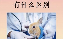 動物醫學和畜牧獸醫有什么區別