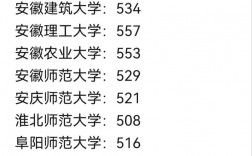 安徽大學美術生錄取分數線2024