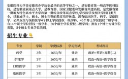安徽醫科大學成人本科招生官網入口（http://cjy.ahmu.edu.cn）