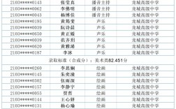2024年龍城高級(jí)中學(xué)在深圳市的排名