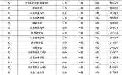 山東省最低分的二本公辦大學(xué)(中國傳媒大學(xué)2+2國際本科)