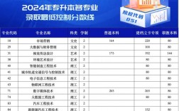 汽車專業專升本(汽修專業專升本意義大嗎)