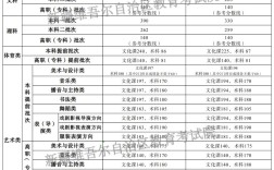 新疆2024高考分?jǐn)?shù)線