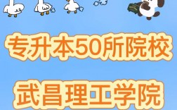 武昌理工學院專升本官網入口
