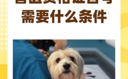 獸醫自考需要什么條件