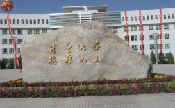 新疆華山中學(xué)的升學(xué)率如何？有哪些特色活動？