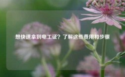 想快速拿到電工證？了解這些費用和步驟
