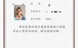 住建廳證件查詢(城鄉建設廳建筑特種作業證書)