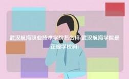 武漢航海職業技術學院怎么樣(武漢航海學院是正規學校嗎)