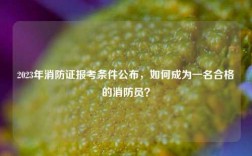 2023年消防證報考條件公布，如何成為一名合格的消防員？