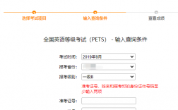 湖南省公共英語等級考試官網pets.hneao.cn