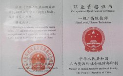 國家職業資格證書(官網)(職業技能等級證書查詢)