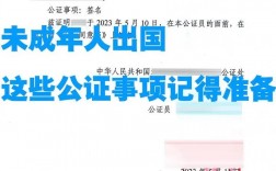 公證處需要帶什么證件