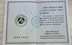 江蘇全媒體運營師(運營師是干嘛的)