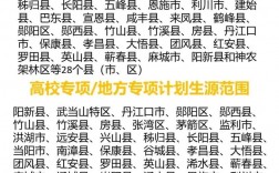 2024河南地方專項計劃有哪些？具體政策是什么？