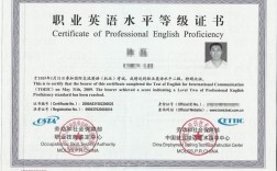 英語二級是什么水平