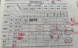 語音的本質屬性是什么