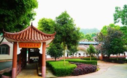 重慶德志錦輝素質(zhì)教育為什么好評(píng)如潮？
