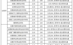2024年安徽省專科院校排名及分數(shù)線