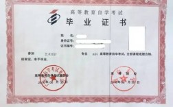 高中文憑可以考什么證