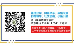 河北唐山初中生10大戒網(wǎng)癮叛逆特訓(xùn)教育心理疏導(dǎo)學(xué)校排名一覽