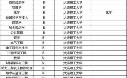 大連理工大學學科評估