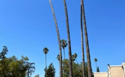 加州理工大學(Caltech)相當于國內什么大學？含金量高嗎？