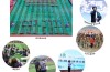 初中畢業學技術｜合肥技師學院免學費政策｜2025年招生中