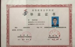 自考大專(學歷提升報名入口官網)