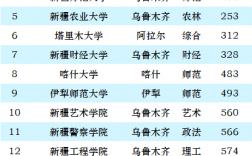 新疆211大學(xué)有幾所 最牛的三所
